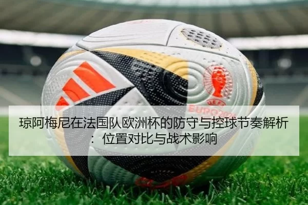 琼阿梅尼在法国队欧洲杯的防守与控球节奏解析：位置对比与战术影响